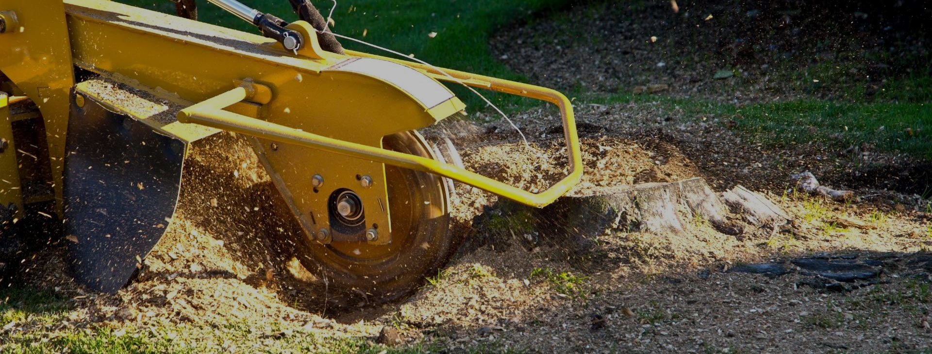 stump grinding