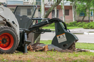 Stump Grinding